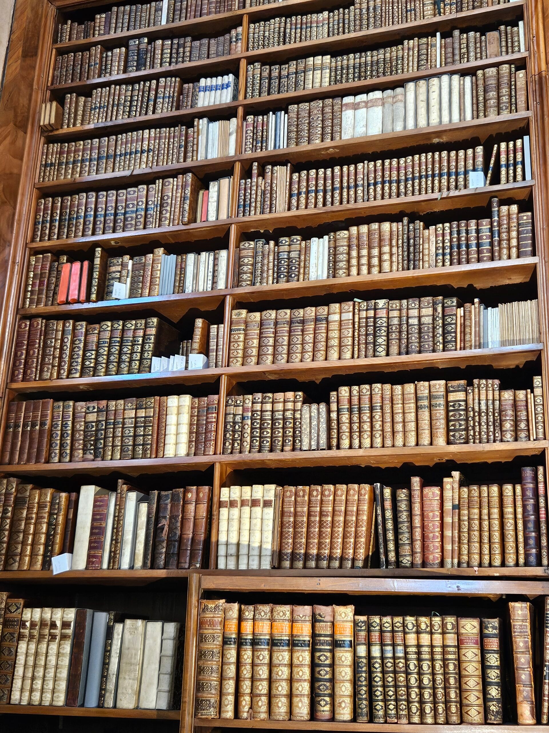 Półki z zabytkowymi książkami w austriackiej bibliotece narodowej w wiedniu