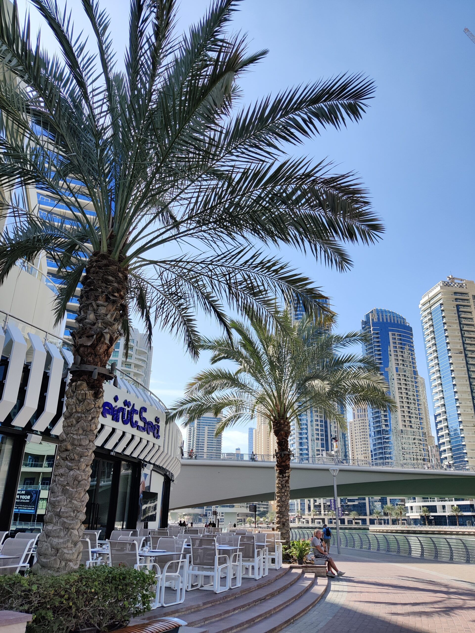 Dubai marina w dubaju: promenada z palmami, kawiarnią i wieżowcami w tle
