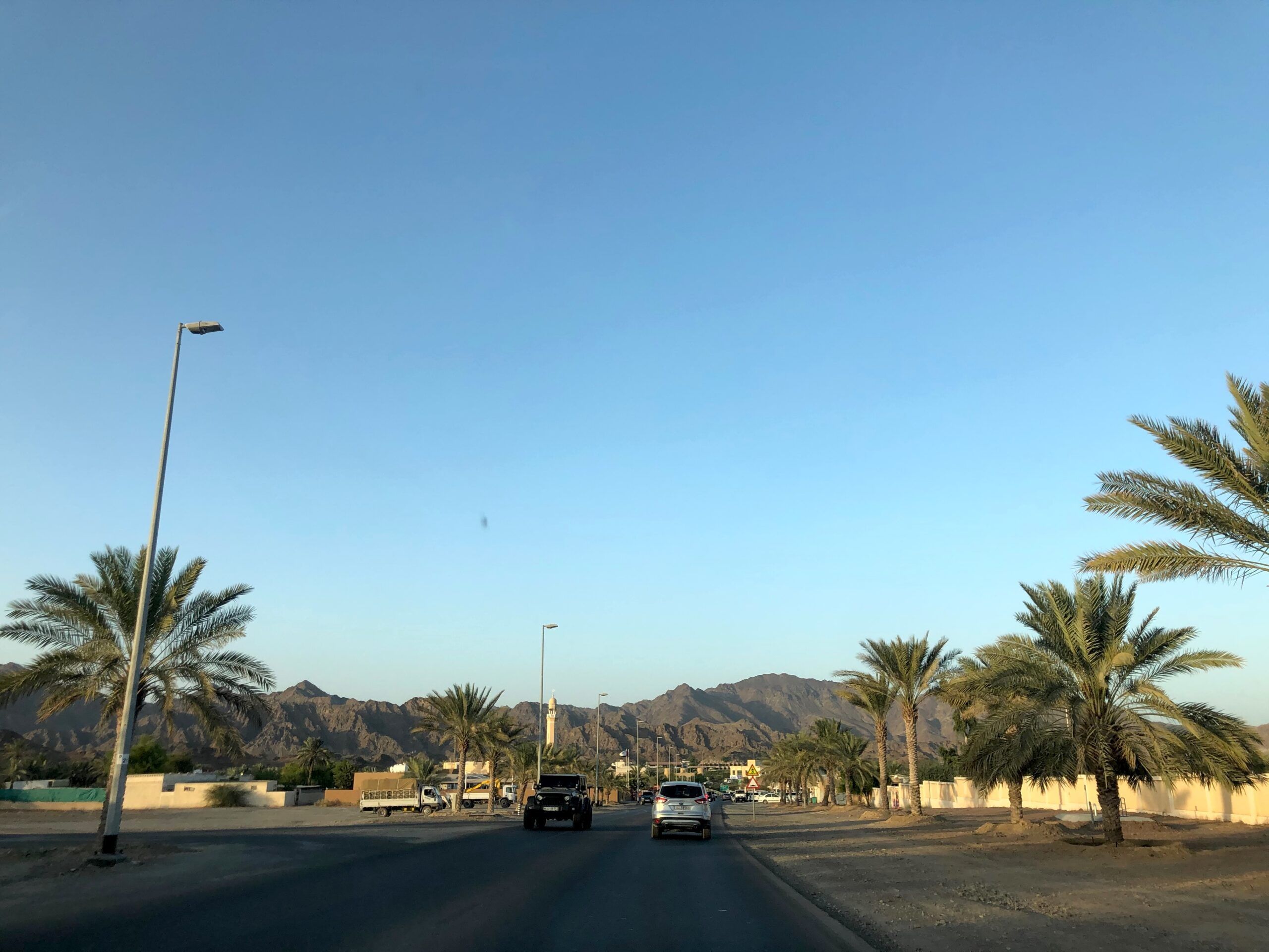 Ulica w ras al khaimah z palmami i górami w tle, widziana z samochodu.
