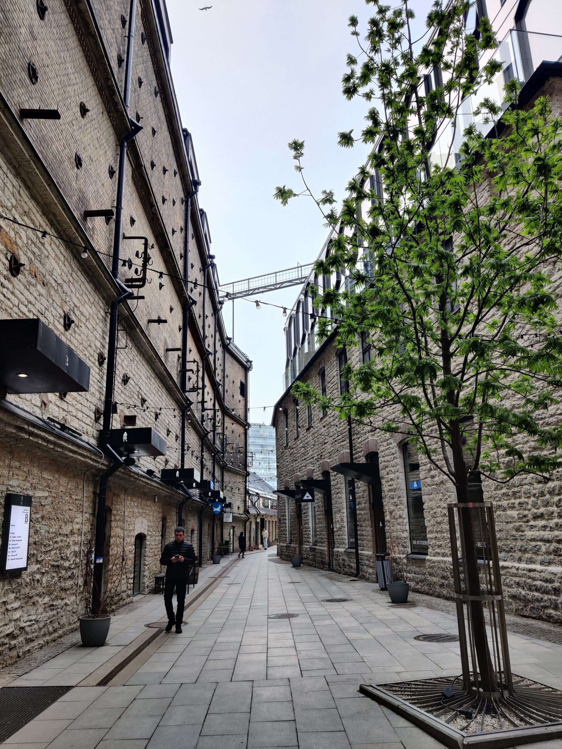 Tallinn courtyard between historic stone buildings with a leafy tree and street lights