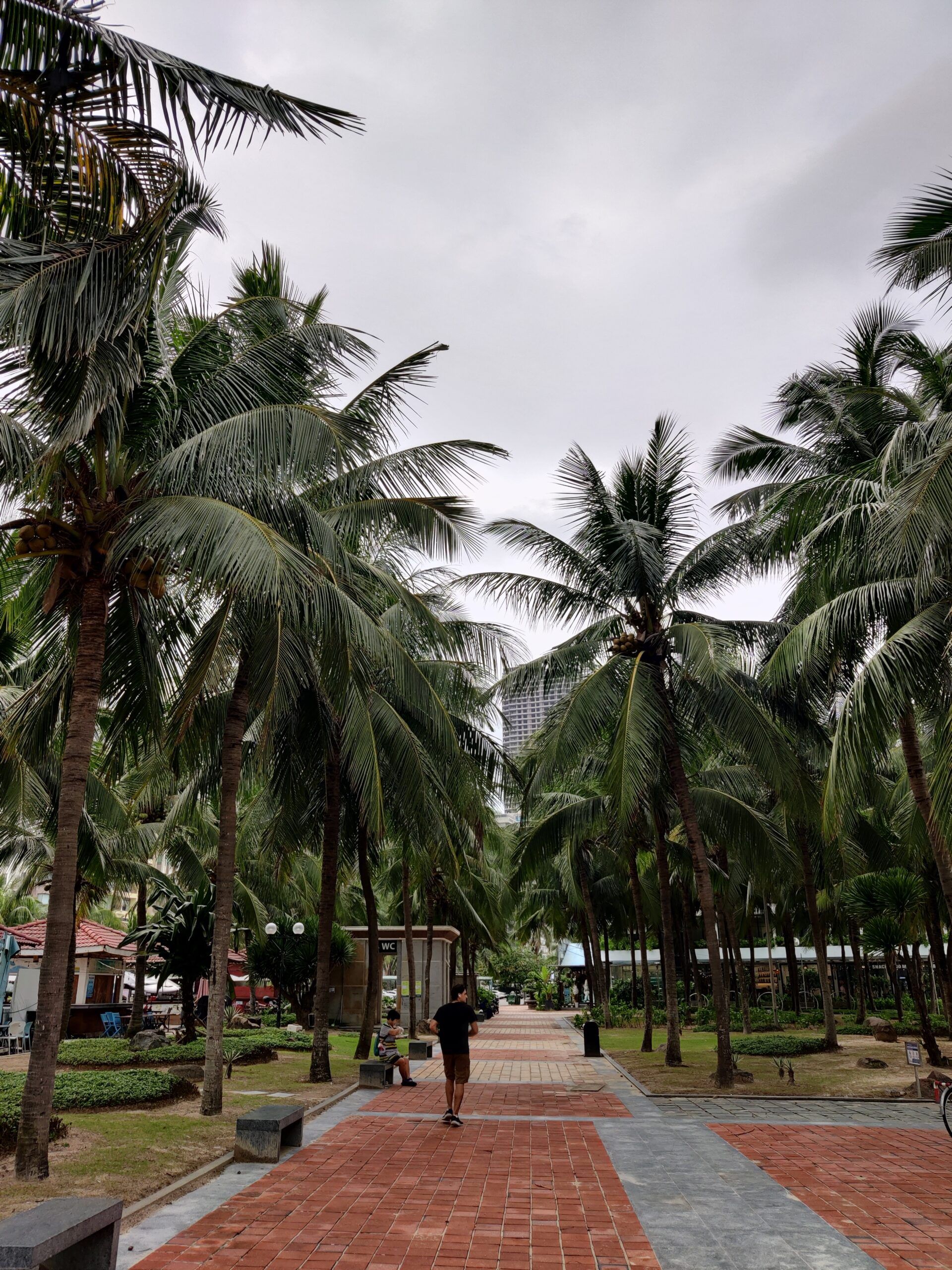 Park palmowy w da nang w wietnamie z alejką i spacerującą osobą
