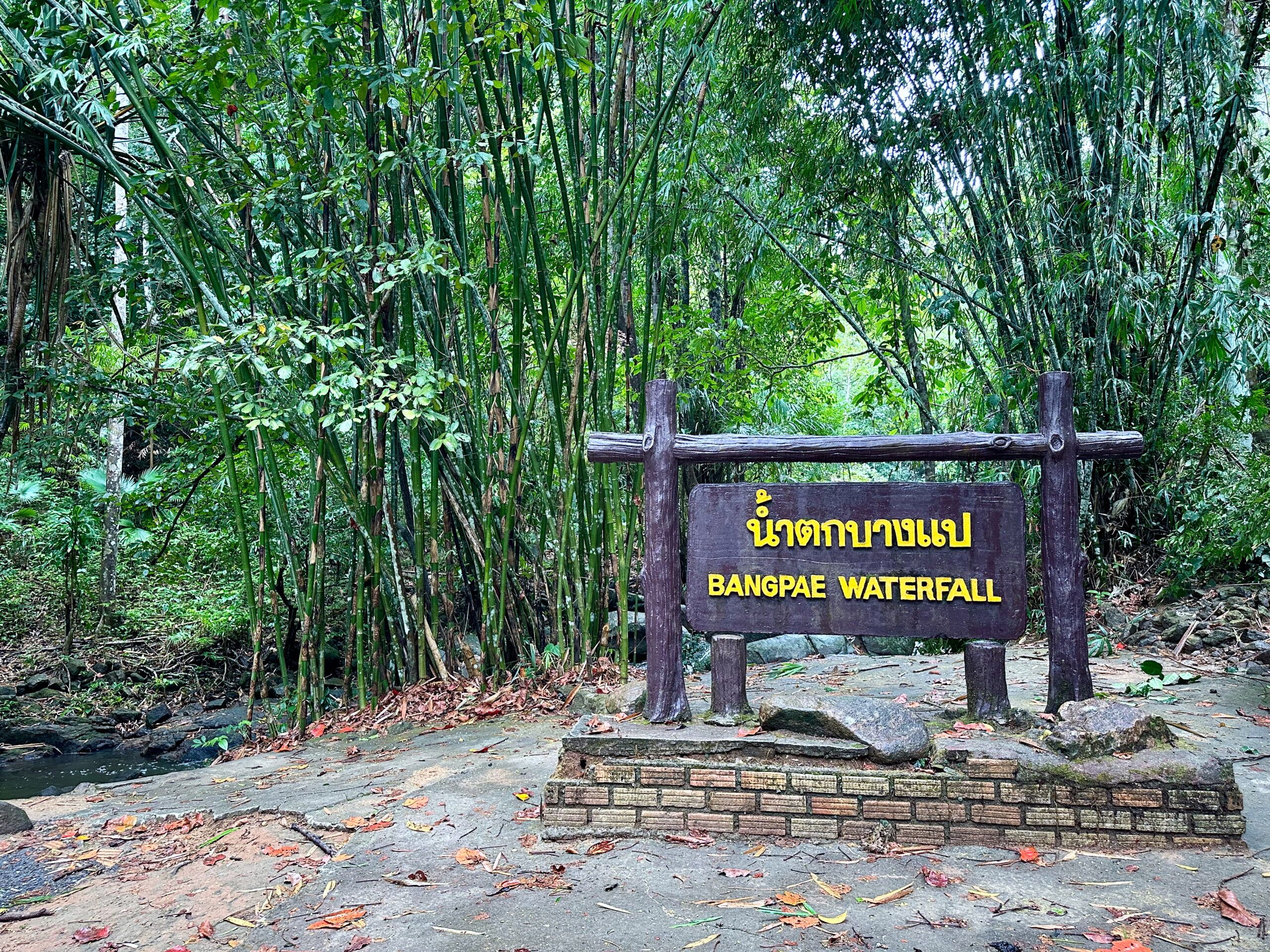 Tablica bang pae waterfall wśród gęstej bambusowej dżungli na phuket.