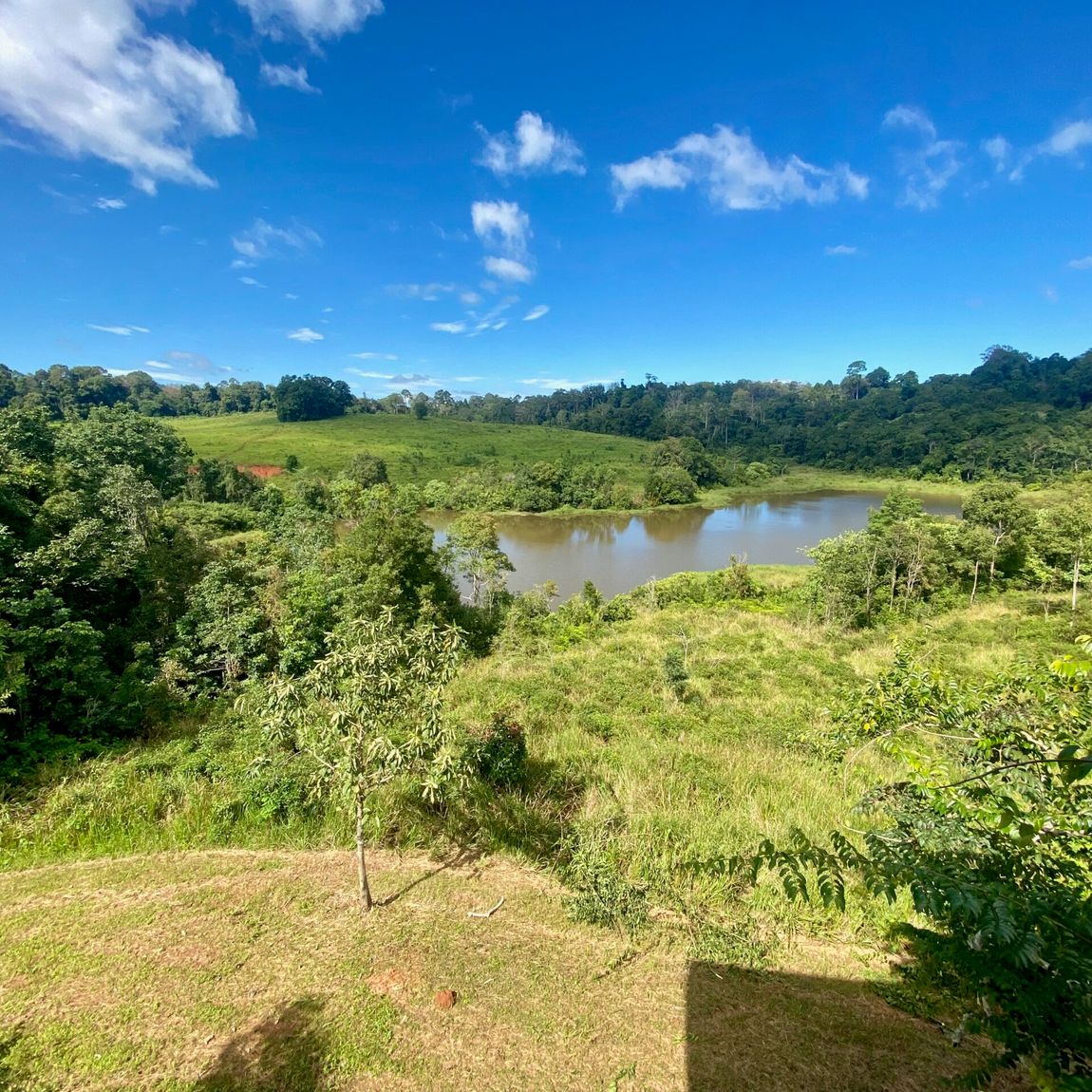 Khao yai national park landscape in thailand with lush forest, grassy hills, and a calm river under a blue sky