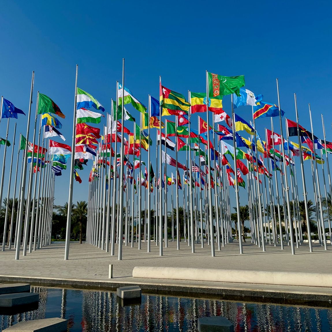 Doha flag plaza w katarze z lasem masztów i kolorowymi flagami na tle nieba