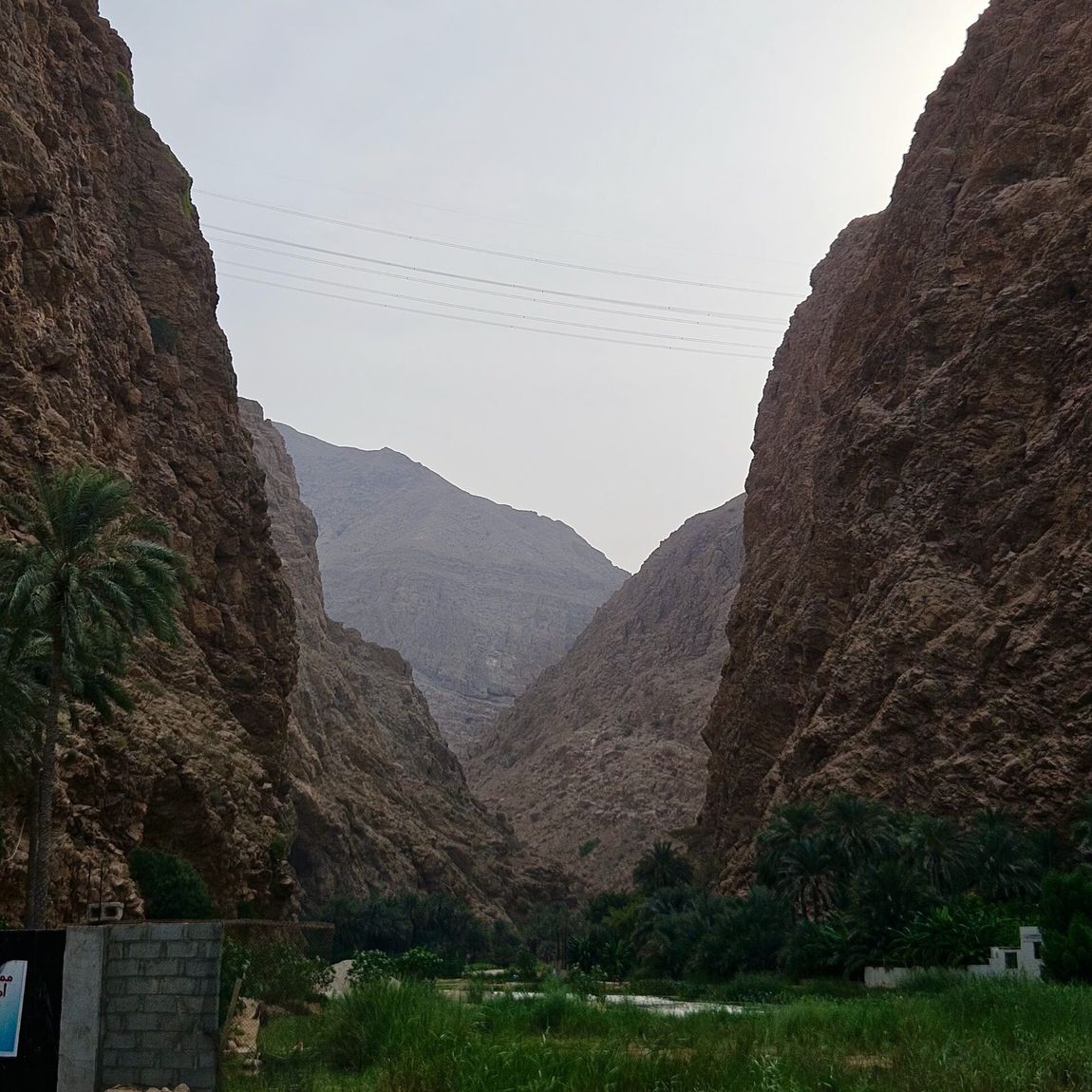 Wadi shab w omanie, skalisty kanion z wysokimi ścianami, palmami i zieloną roślinnością u podnóża