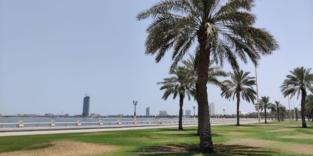 Palmowy deptak na dammam corniche nad wodą