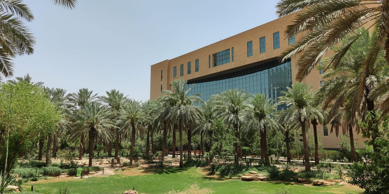 Najd oasis w rijadzie, oaza z palmami i nowoczesnym budynkiem w tle