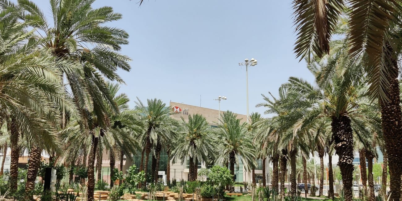 Najd oasis w rijadzie z palmami i zielonym ogrodem pustynnym