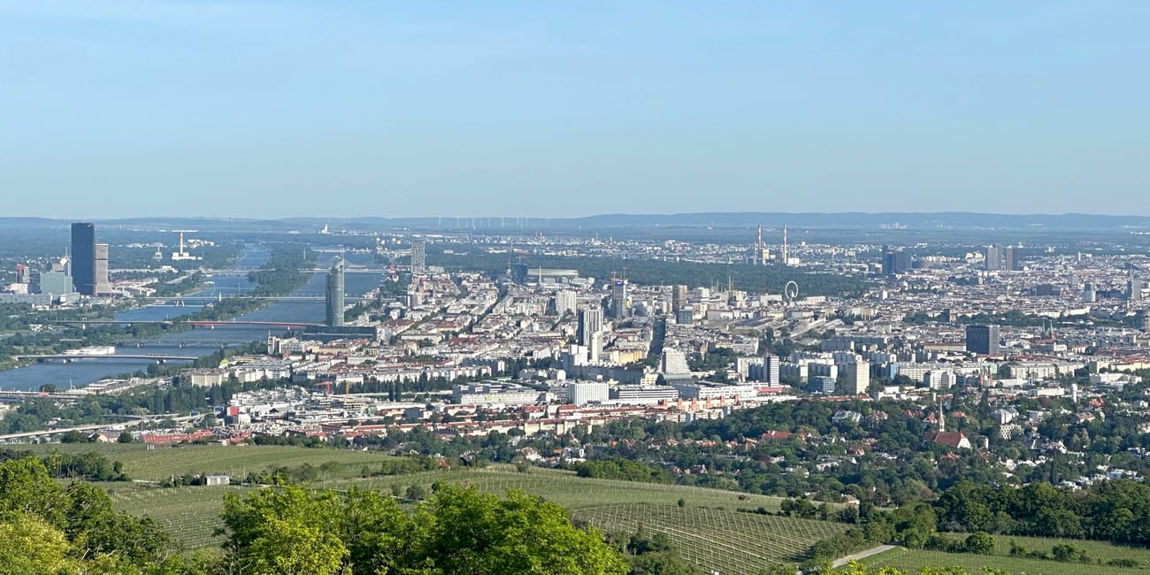 Panorama wiednia z wzgórza, z dunajem, zielonymi winnicami i panoramą miasta.