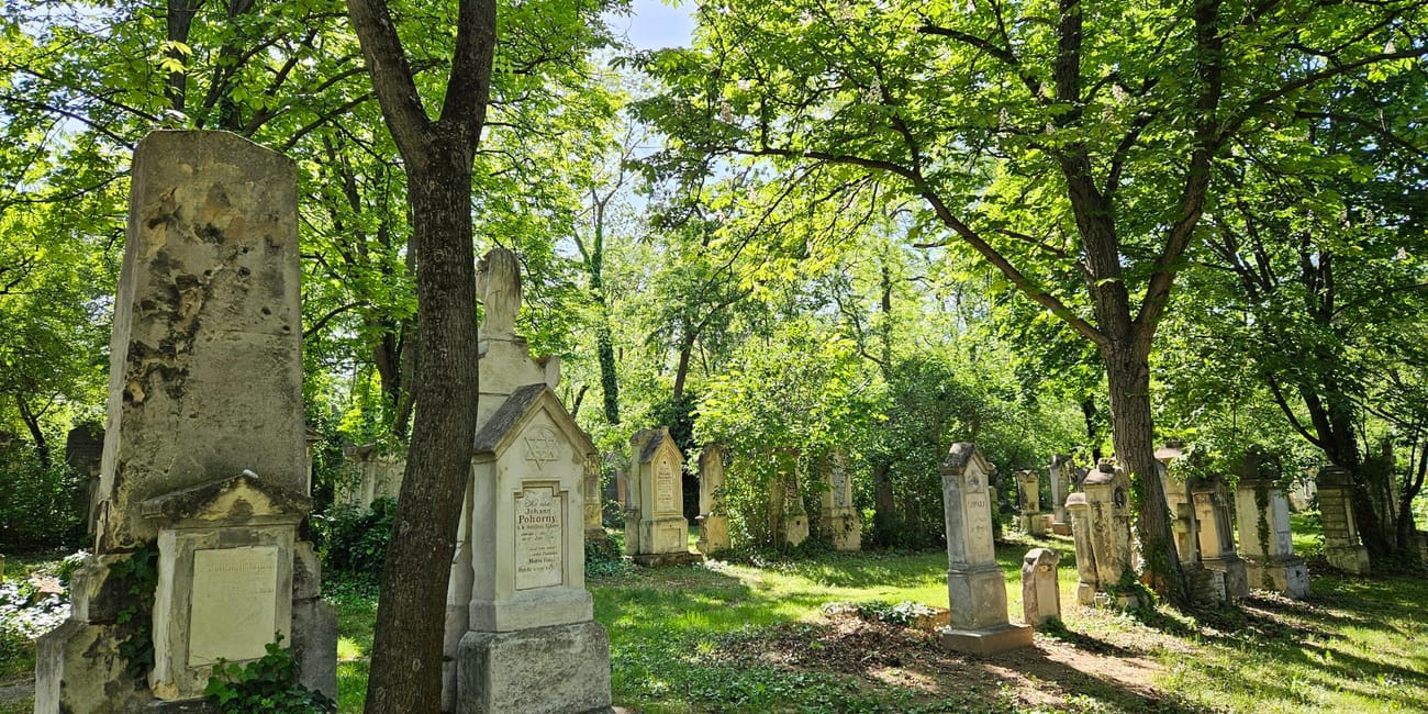 Cmentarz st. Marx w wiedniu z dawnymi nagrobkami pod zielonymi drzewami