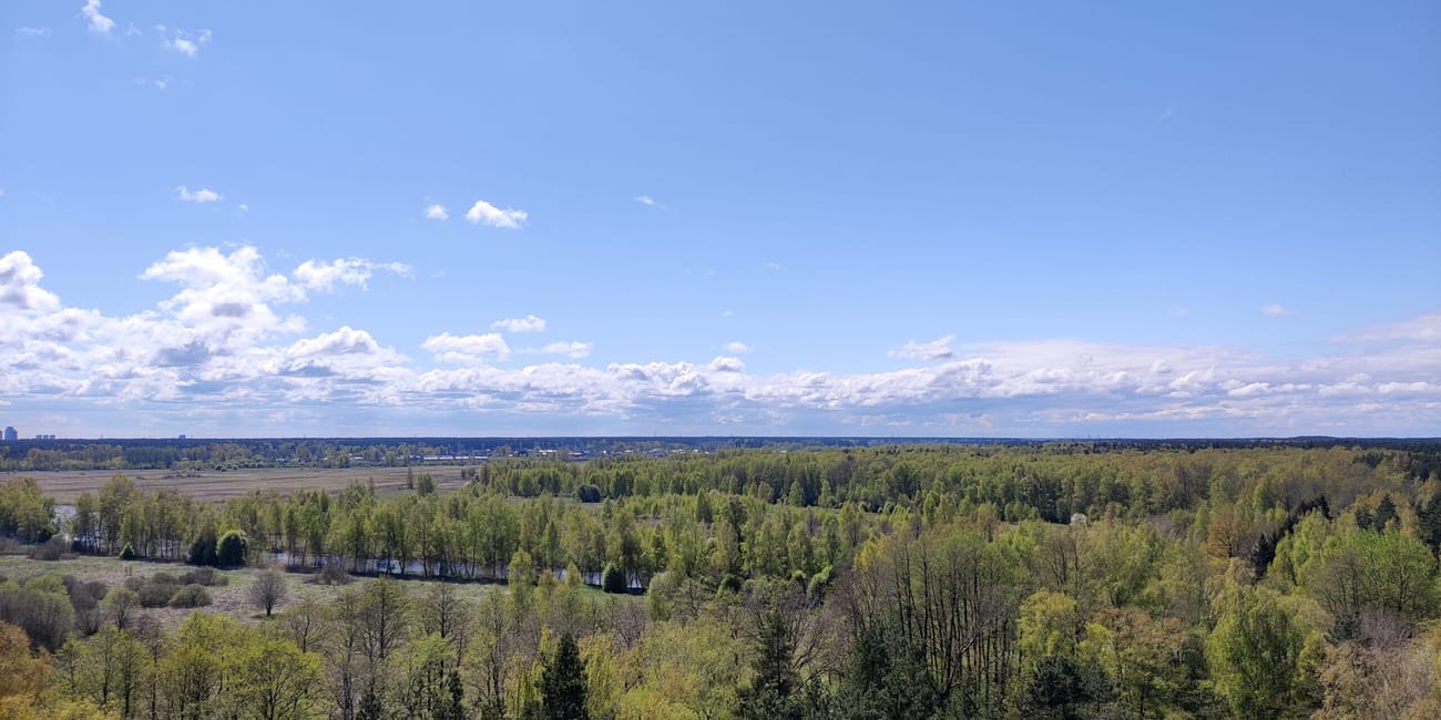 Widok z wieży bumbu hill firewatch tower na lasy i równinę w rydze, łotwa