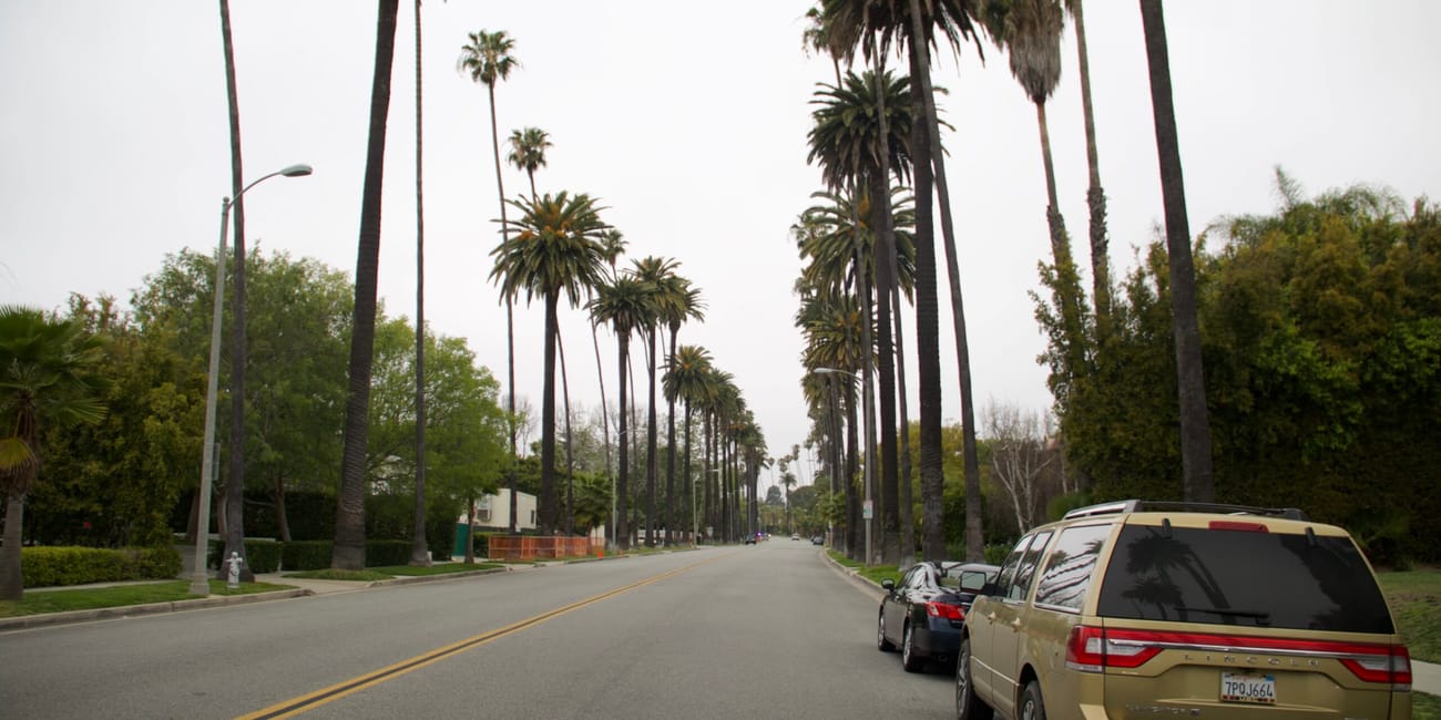 Ulica w los angeles z wysokimi palmami i zaparkowanymi samochodami