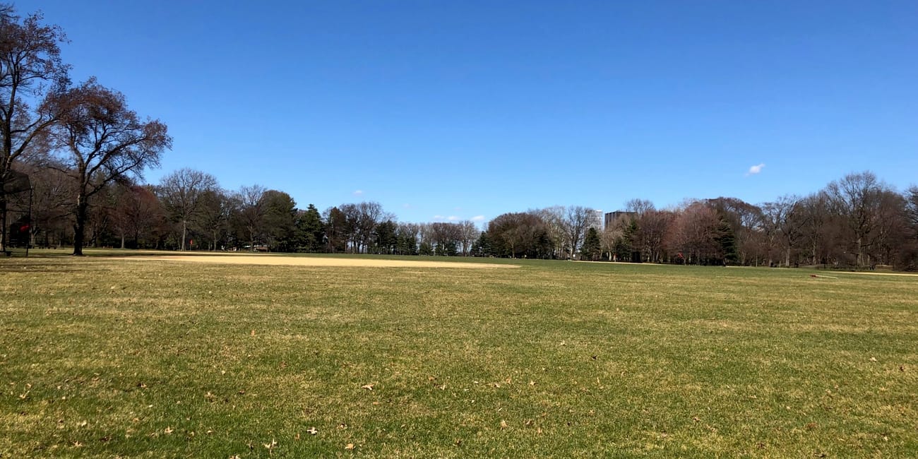 Central park w nowym jorku: rozległa trawiasta łąka pod błękitnym niebem.