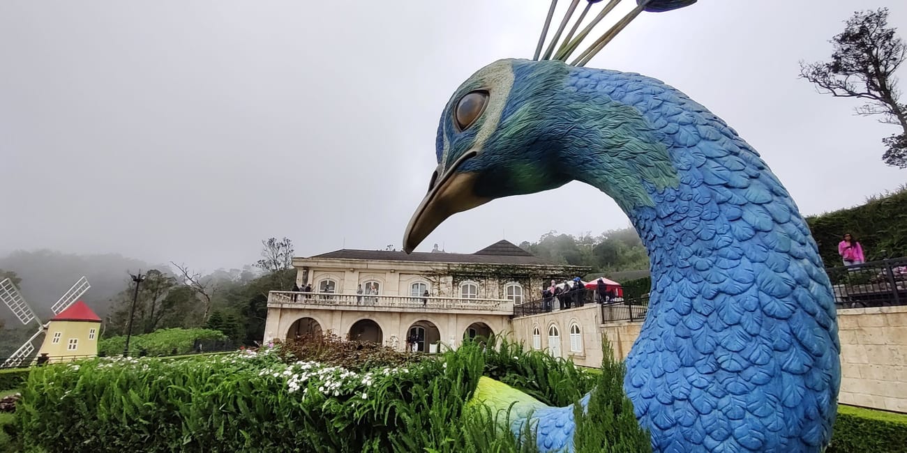 Wielka niebieska rzeźba pawia w ba na hills w da nang, w ogrodzie przy budynku.
