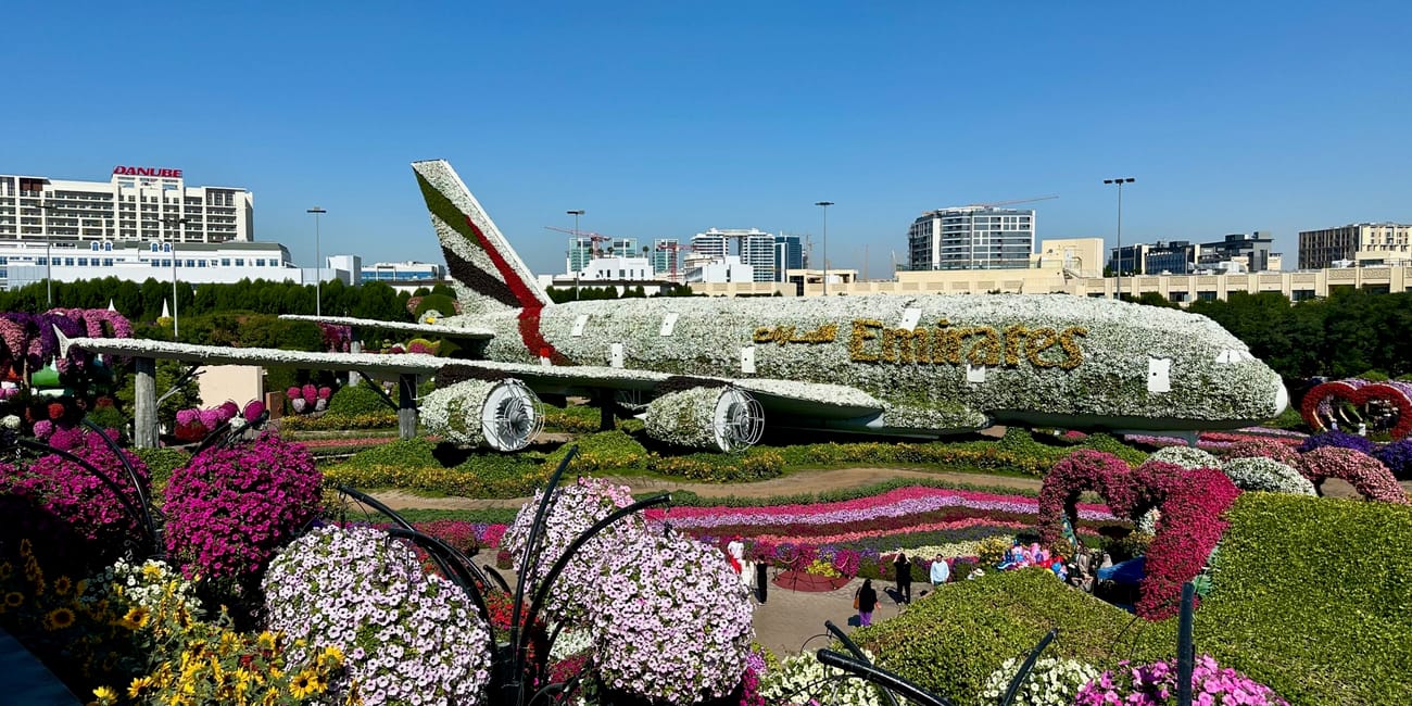Dubai miracle garden z kwiatową rzeźbą samolotu emirates.