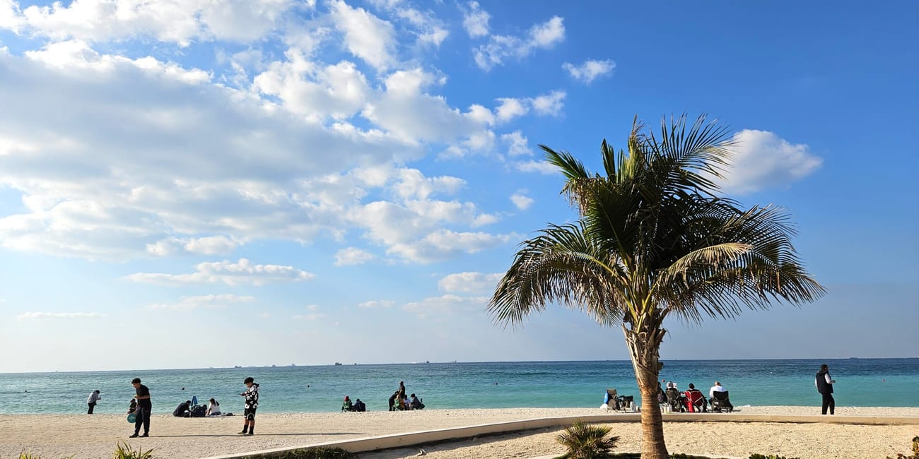 Sharjah heera beach w uae z palmą, plażą i ludźmi odpoczywającymi nad morzem