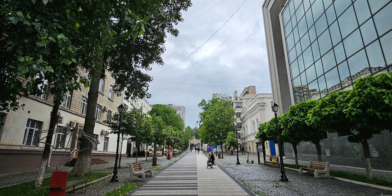 Spacerowa aleja przy eugen doga street w kiszyniowie, z drzewami i nowoczesnymi budynkami.