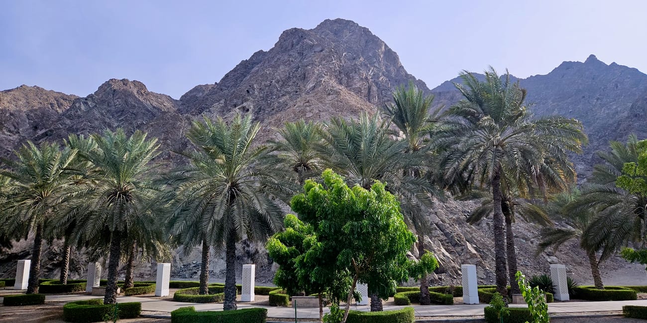 Oman, garden near road – ogród z palmami u podnóża skalistych gór