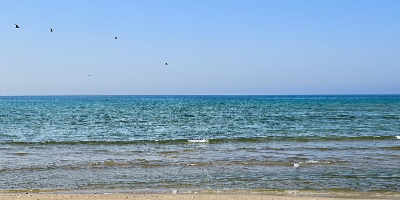 Plaża qurum w muskacie w omanie, spokojne morze, piaszczysty brzeg i ptaki nad wodą