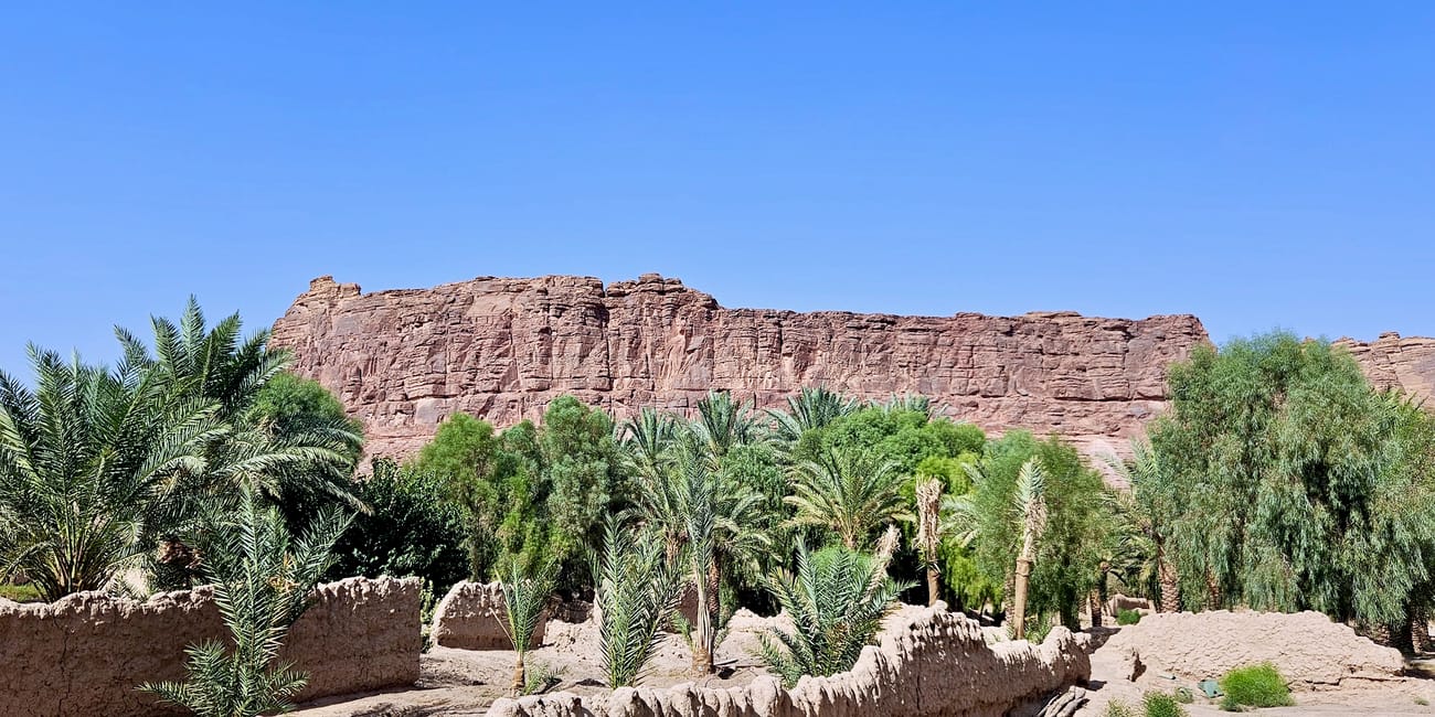 Al ula oasis near old town in saudi arabia, with palm trees and a towering sandstone cliff under a blue sky