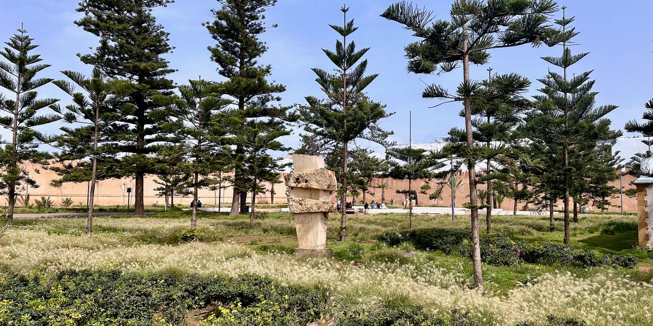 Park w essaouirze w maroku, alejka z drzewami i kamiennym postumentem na tle murów