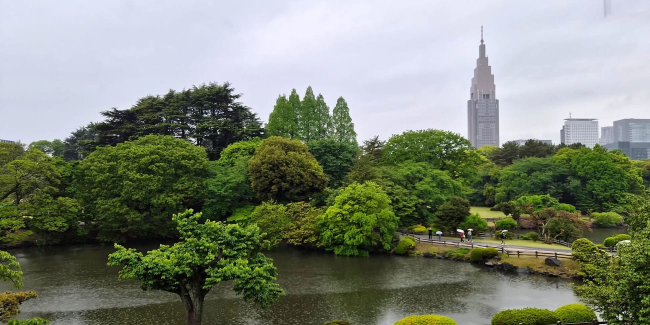 Widok na ogród w shinjuku w tokio z wieżą tokyo metropolitan government building w tle