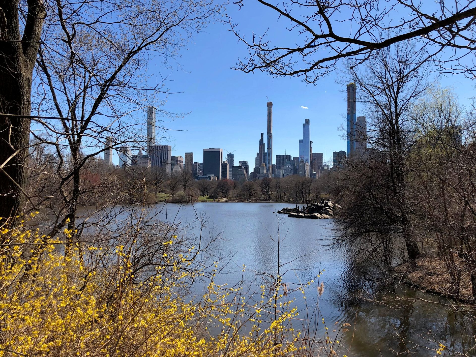 Central park w nowym jorku z jeziorem i panoramą drapaczy chmur w tle