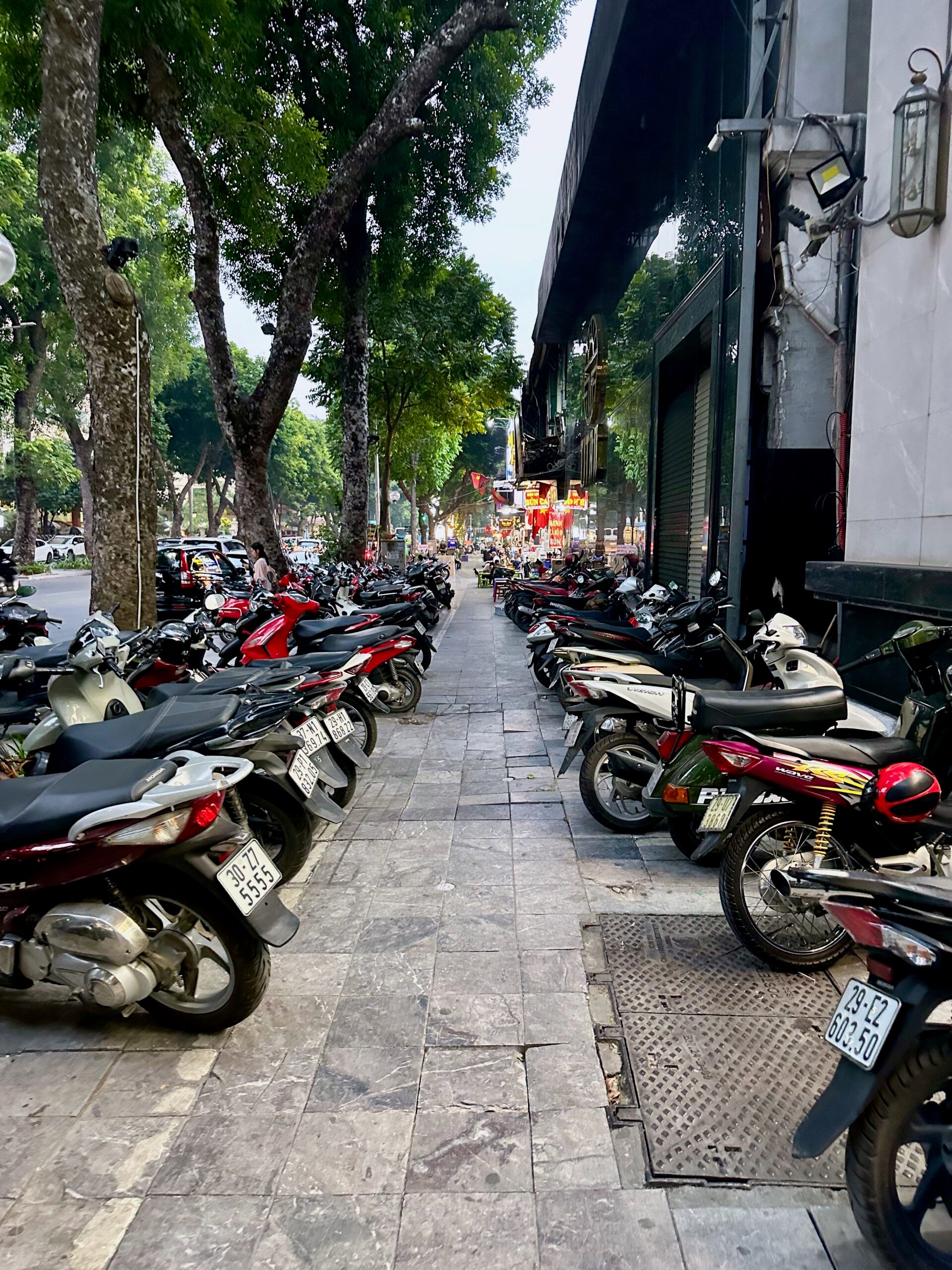 Ulica w hanoi zastawiona zaparkowanymi skuterami przy chodniku i drzewach.