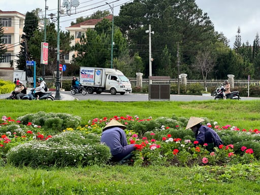 Da lat w wietnamie: ogrodnicy pielęgnują kolorowe kwiaty przy ruchliwej ulicy.