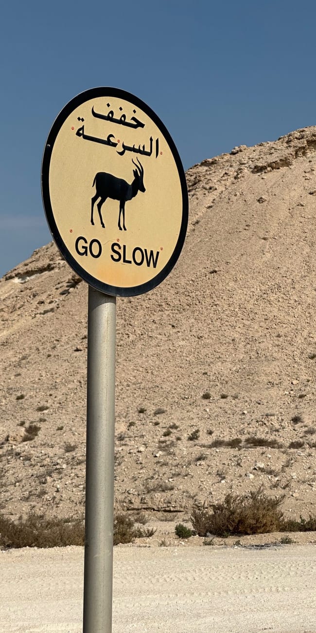 Znak ostrzegawczy „go slow” z sylwetką antylopy na pustynnym wzgórzu w bahrajnie