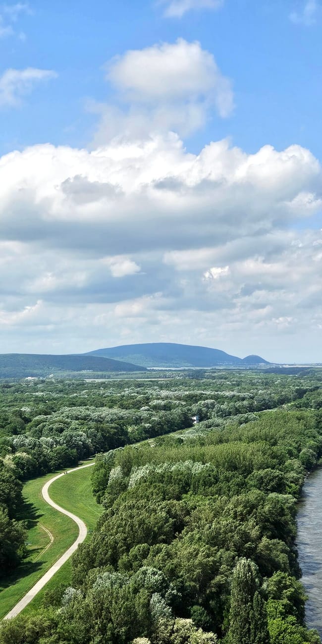 Widok z ufo bridge w bratysławie na dunaj i zielony nadrzeczny park.