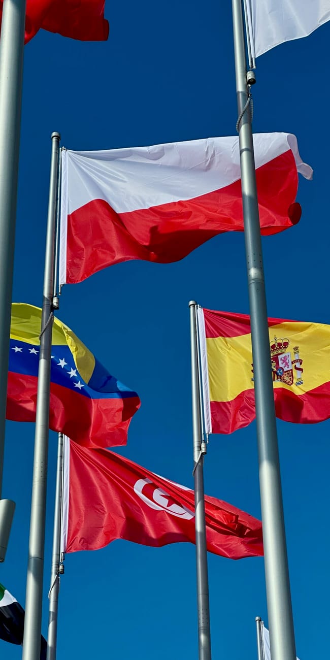 Plac flagowy doha flag plaza w dosze z wieloma powiewającymi flagami na tle błękitnego nieba