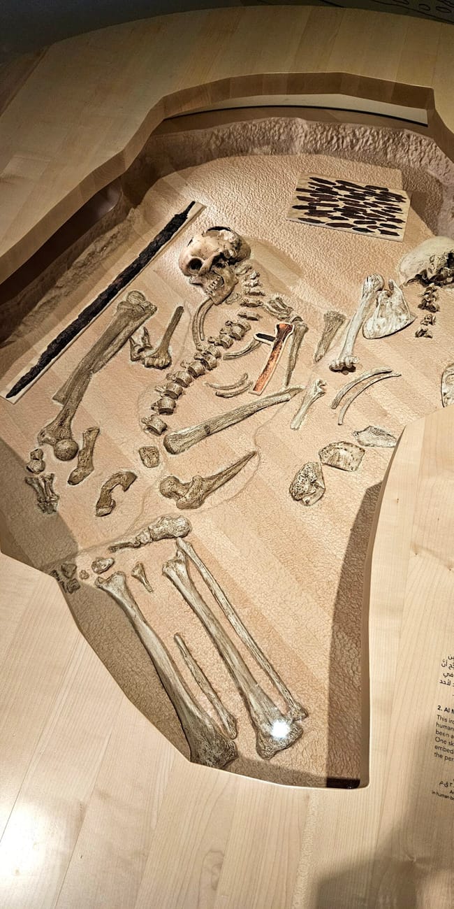 Ekspozycja w doha national museum z ludzkim szkieletem i grobowymi artefaktami.