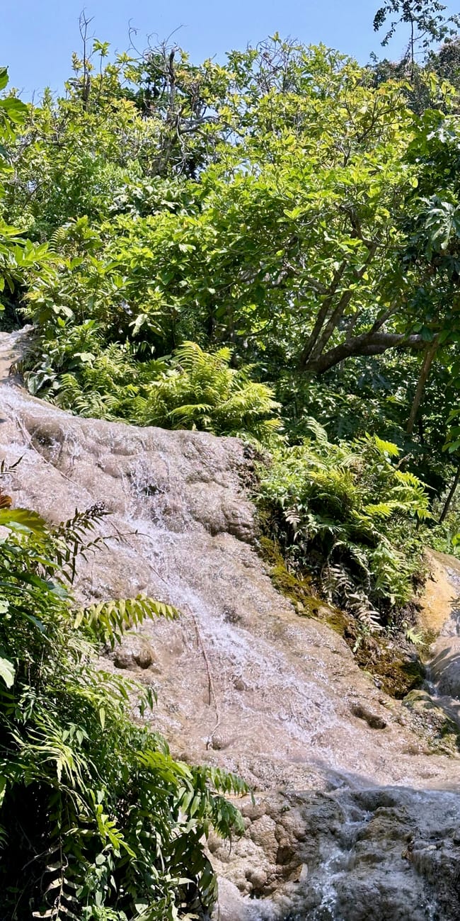 Buatong waterfall w chiang mai, gdzie woda spływa po skalnym zboczu wśród bujnej zieleni.