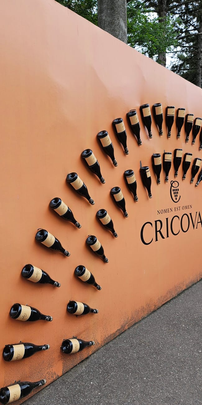 Ściana z butelkami wina i napisem cricova w cricova wine, mołdawia