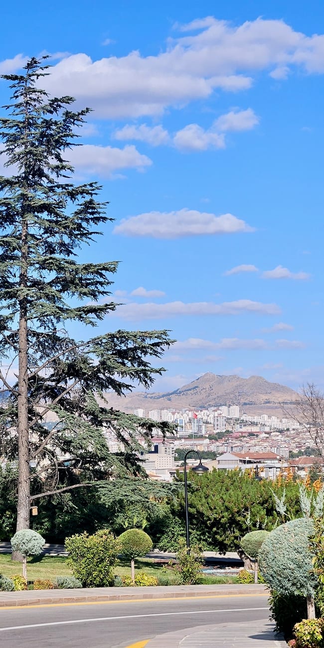 Turkey, ankara antikabir: landscaped gardens with tall cypress tree and city skyline under blue sky