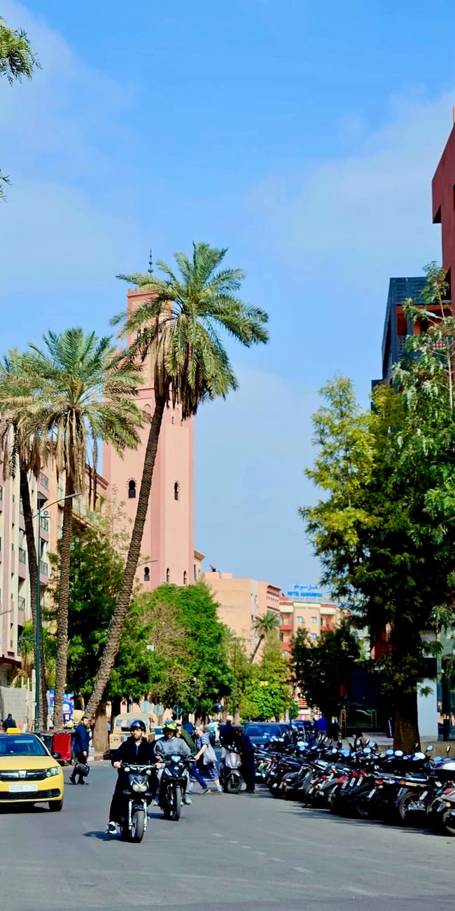 Marrakech, morocco—driving along a sunny city street lined with palm trees, cars, and parked scooters
