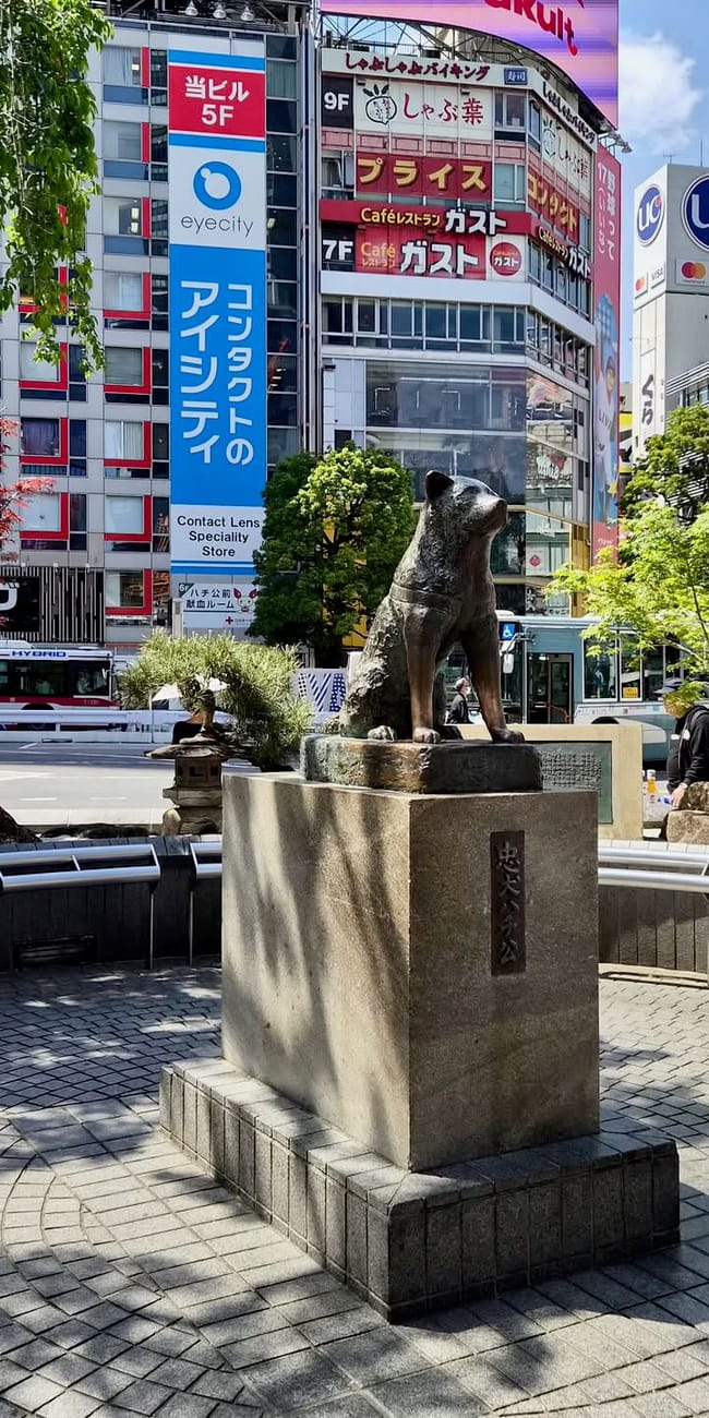 Japan tokyo shibuya 003