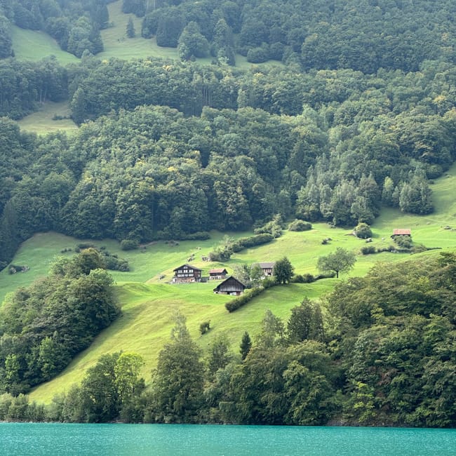 Jezioro i zielone zbocza w interlaken, szwajcaria