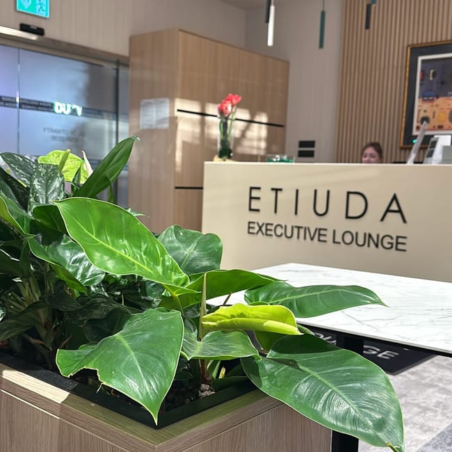 Etiuda executive lounge in cairo with plants and a reception desk