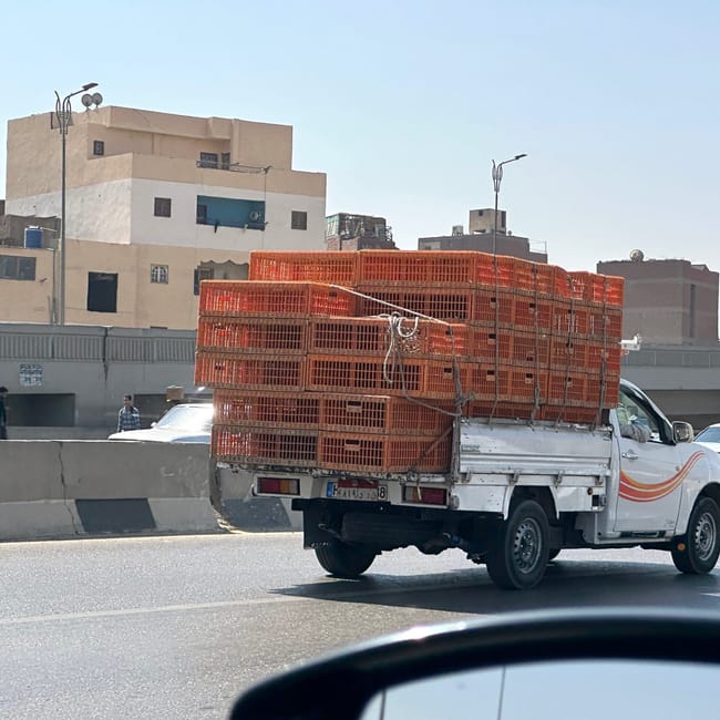Pickup truck overloaded with orange crates on a road in egypt