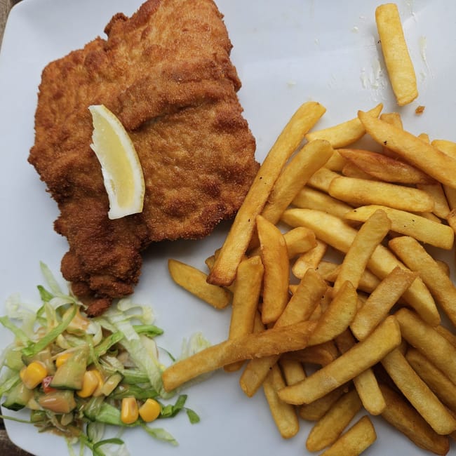 Schnitzel z frytkami i sałatką na talerzu w berlinie