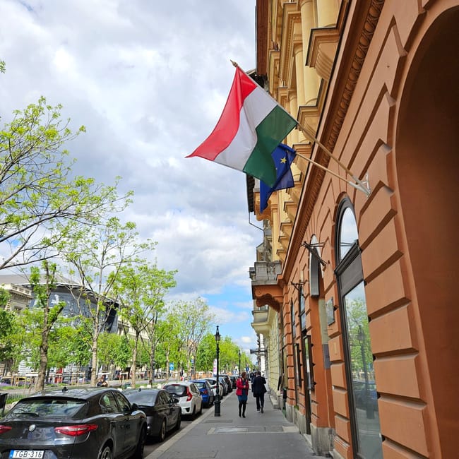Ulica w budapeszcie z węgierską i unijną flagą przy kamienicy, zaparkowanymi autami i zielonymi drzewami.