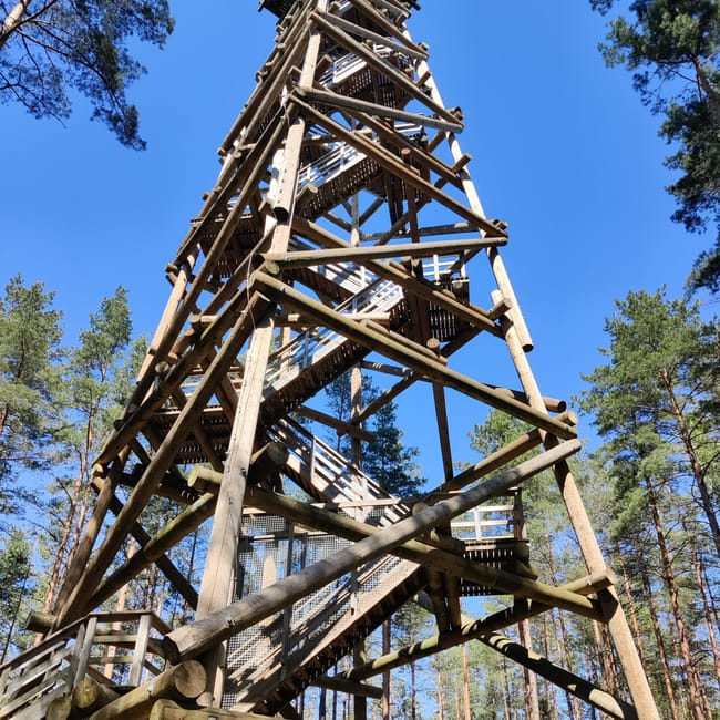 Wieża obserwacyjna bumbu hill w rydze, drewniana konstrukcja w lesie pod błękitnym niebem