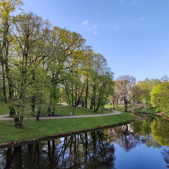 Park w rydze z rzeką, zielonymi drzewami i ścieżką spacerową w słoneczny dzień