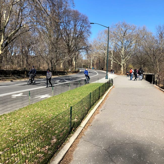 Central park w nowym jorku z alejką, rowerzystami i pieszymi pod bezchmurnym niebem.