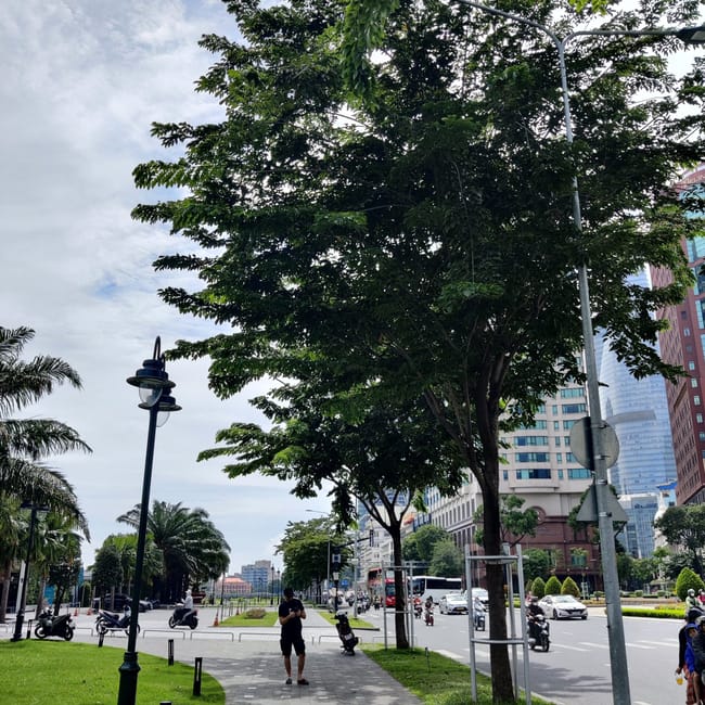 Park bach dang quay w ho chi minh city z alejką, drzewami i ruchem ulicznym.