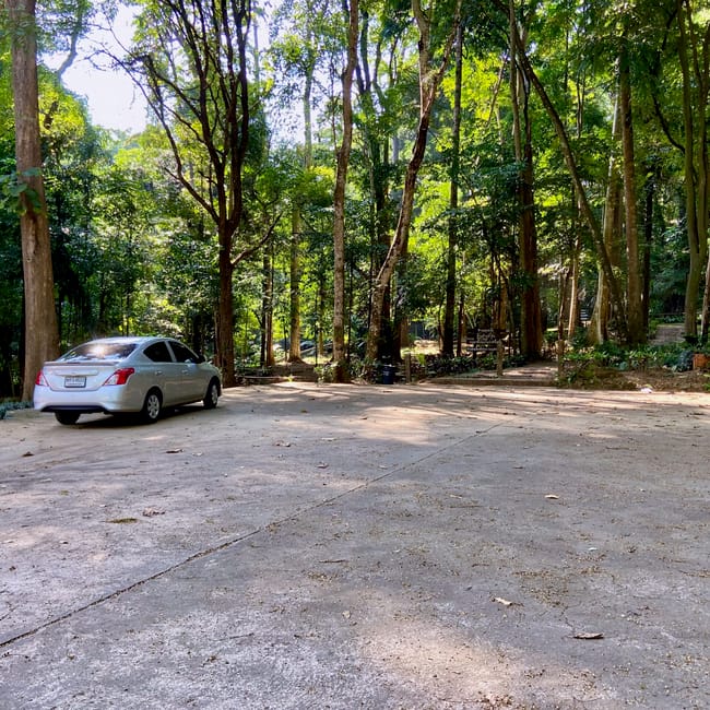 Chiang mai, thailand: a white car parked on a driveway surrounded by tall tropical trees.