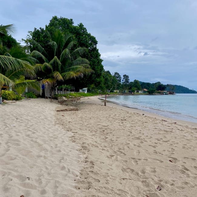 Plaża na koh chang w tajlandii z palmami, spokojnym morzem i zachmurzonym niebem