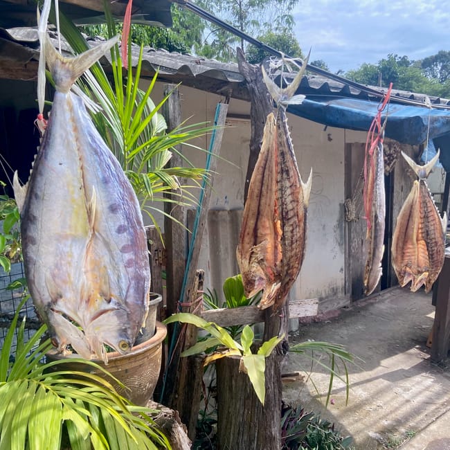 Suszone ryby wiszące przed domem na koh chang w tajlandii